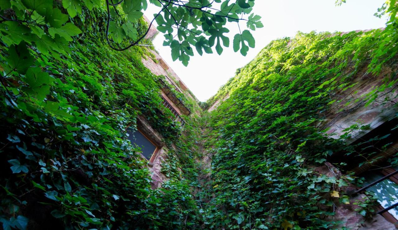 El Jardín Vertical Vilafamés  Exterior foto